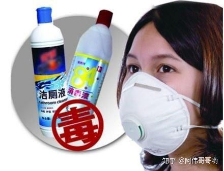 宠物与消毒安全 如何保护家中猫狗免受消毒液影响？